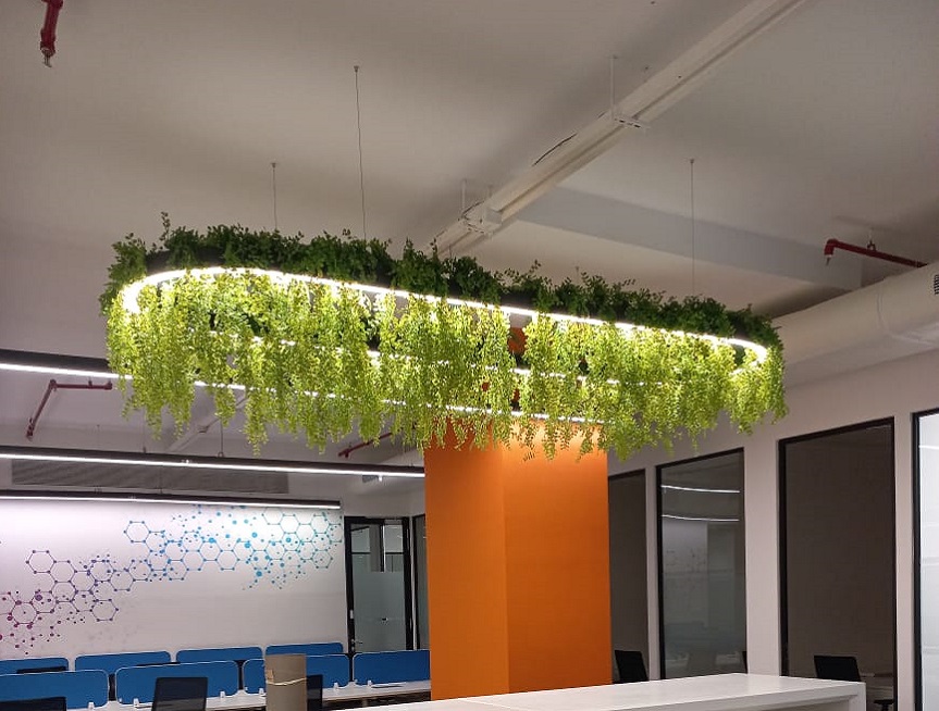 Greenscape Creation